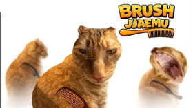 Brush Jjaemu img