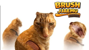 Brush Jjaemu img