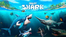Crazy Shark img