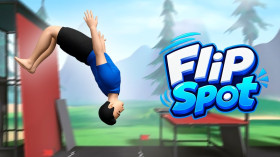 Flip Spot img