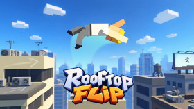 Rooftop Flip img
